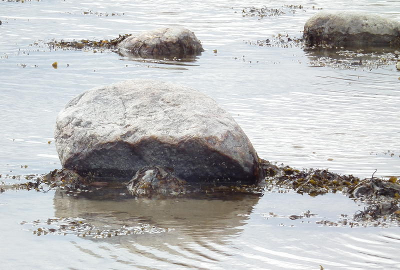 A photo of large stone in water