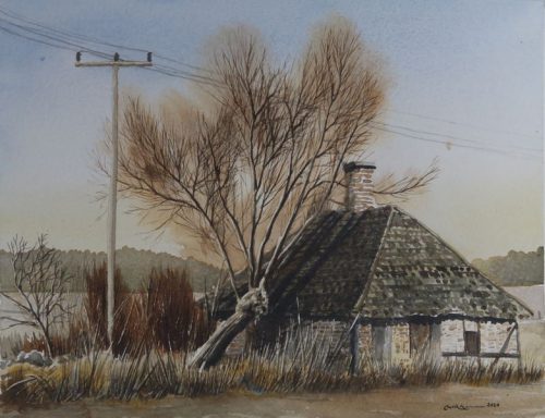House tree and telephone pole 02