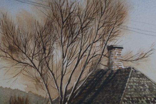 House tree and telephone pole 06