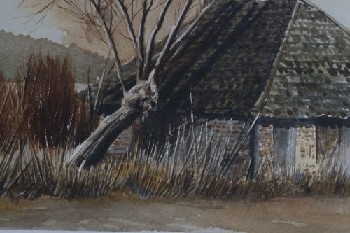 House tree and telephone pole 07